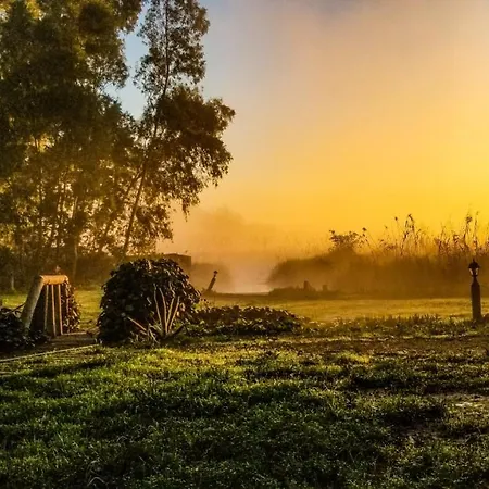 Hotel de apartamente Gumus 4*